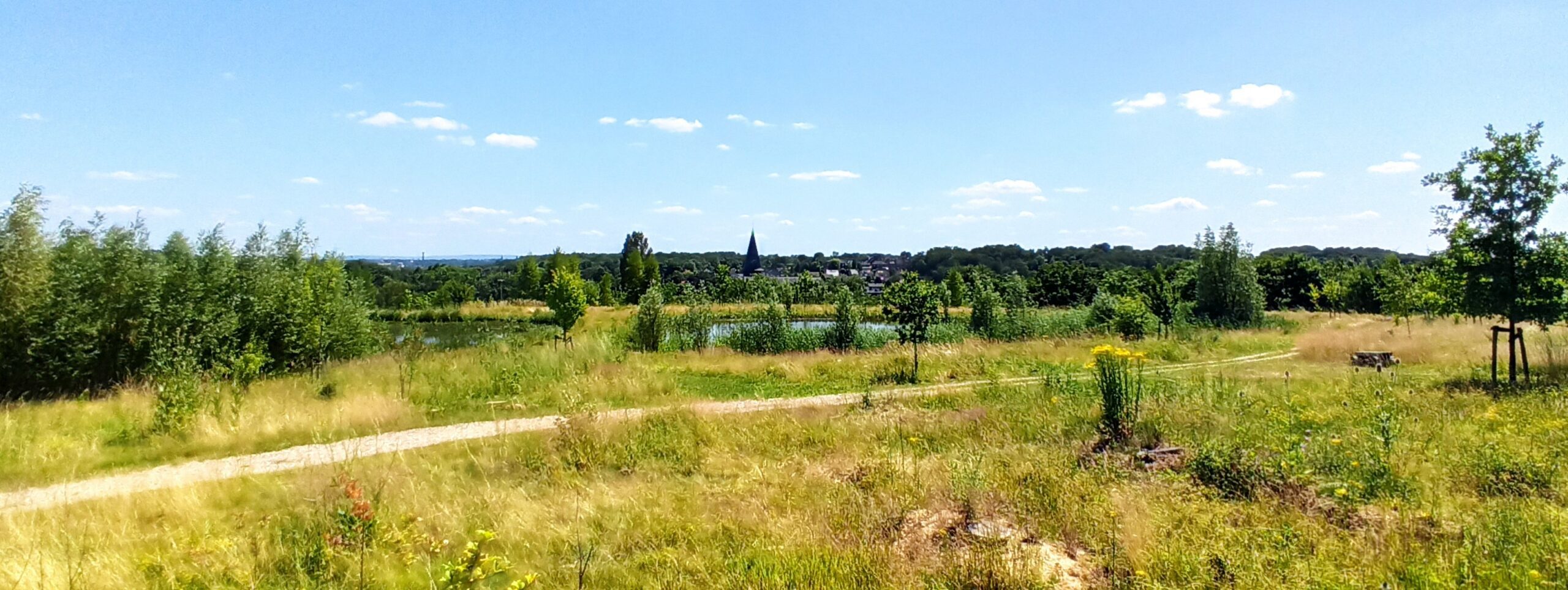 Aussicht auf dem Naturfriedhof Eygelshof