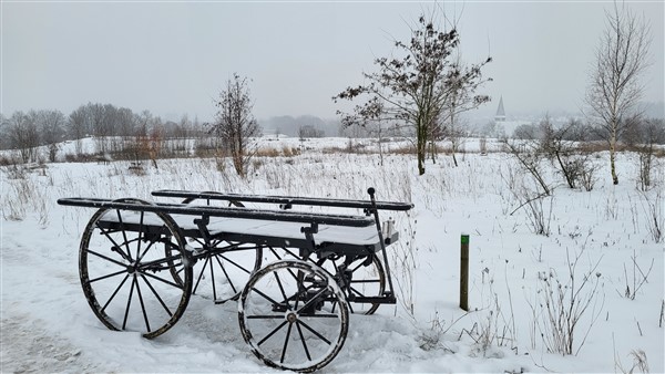 Loopkoets in de sneeuw, Winterzeit
